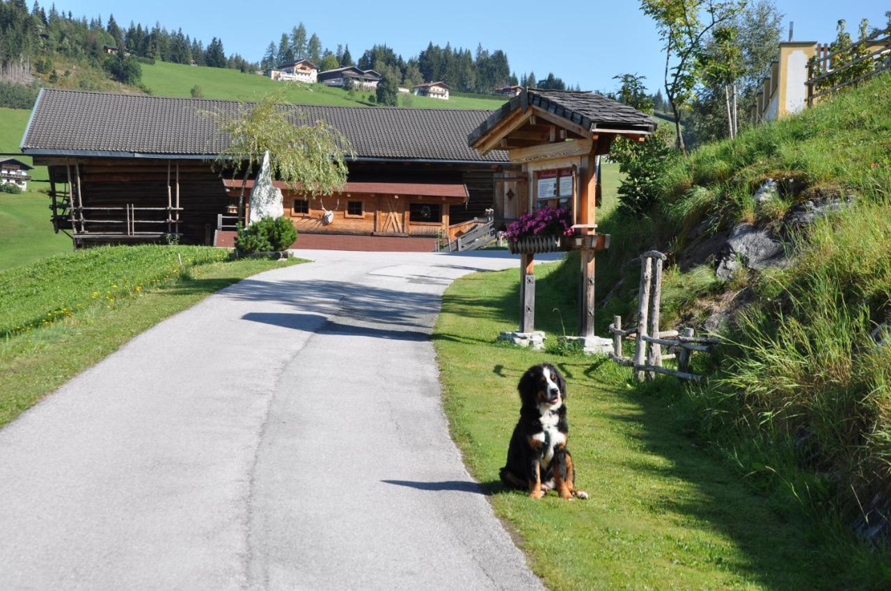 Das "Zwislegggut" Wagrain Exterior foto